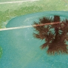 n_harasz_bch_reflections12