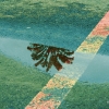n_harasz_bch_reflections3