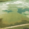 n_harasz_bch_reflections4