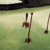 n_harasz_bch_reflections6
