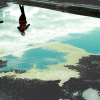 n_harasz_bch_reflections7