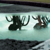 n_harasz_bch_reflections8