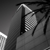 n_harasz_cityscapes_bw_horz_hr2