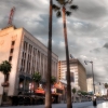 Hollywood Blvd 4