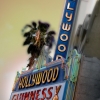 n_harasz_hollywood_neon13