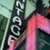 n_harasz_hollywood_neon2