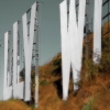 1_n_harasz_hllywd_sign22