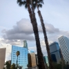 nh_harasz_la_driveby13