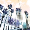 n_harasz_la_stonewash24
