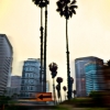n_harasz_la_flash5