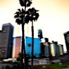n_harasz_la_flash6