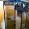 n_harasz_la_reflections13