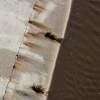 n_harasz_la_river_choc8