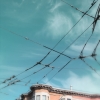 n_harasz_sanfrancisco20
