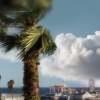n_harasz_sm_venice1