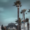 n_harasz_sm_venice8